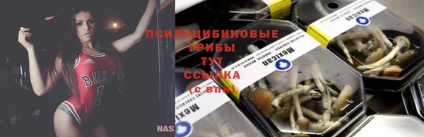 ГАЛЛЮЦИНОГЕННЫЕ ГРИБЫ Лиски