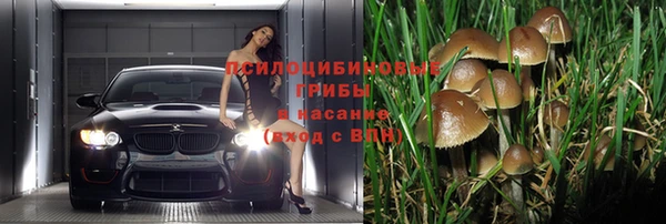крисы Лихославль