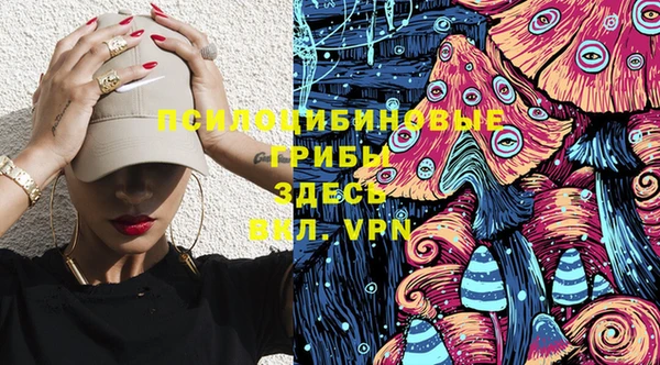 ГАЛЛЮЦИНОГЕННЫЕ ГРИБЫ Лиски