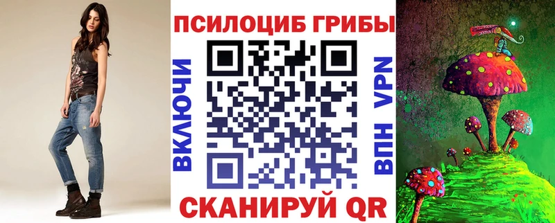 Галлюциногенные грибы Psilocybe  Купить закладки  Калтан 
